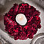 Ruby Red  Spring Summer All Year Front Door Decoration Wreath (DB88)