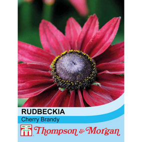 Rudbeckia Cherry Brandy 1 Seed Packet (50 Seeds)