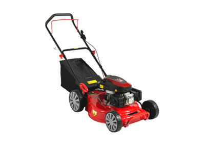Ruikaili TB51SP Self-Propelled Petrol LawnmowerSpecial Offer