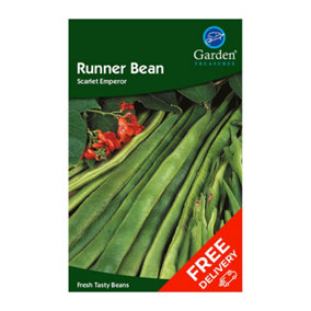 Runner Bean Scarlet Emperor (Phaseolus vulgaris)