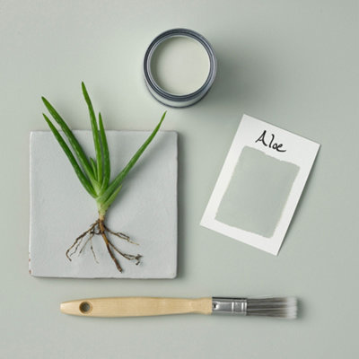 Rust-Oleum Aloe Chalky Furniture Paint 750ml