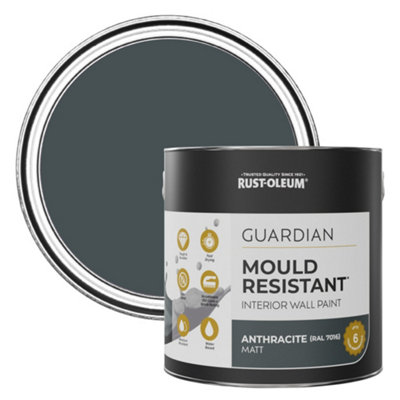 Rust-Oleum Anthracite (Ral 7016) Guardian Mould Resistant Wall Paint 2.5L