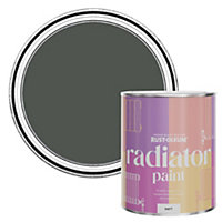 Rust-Oleum Graphite Matt Radiator Paint 750ml