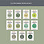 Rust-Oleum Green Chalky Furniture Paint Tester Samples - 10ml
