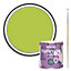 Rust-Oleum Key Lime Bathroom Grout Paint 250ml