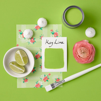 Rust-Oleum Key Lime Matt Appliance Paint 250ml