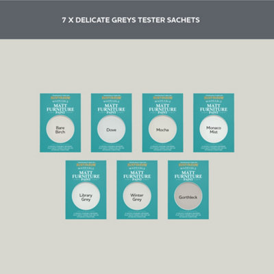 Rust-Oleum Light Grey Matt Furniture Paint Tester Samples - 10ml