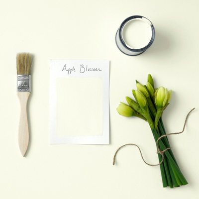 Rust-Oleum Premium Craft Paint - Apple Blossom 250ml