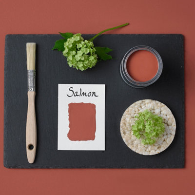 Rust-Oleum Salmon Gloss Furniture Paint 750ml