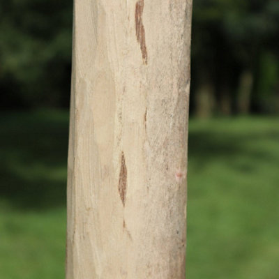 Rustic Chestnut Fence Posts 240CM - 3