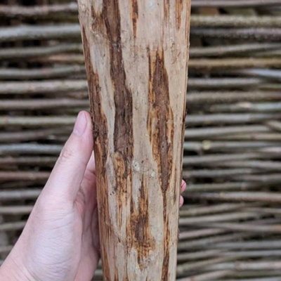 Rustic Chestnut Fence Posts 240CM