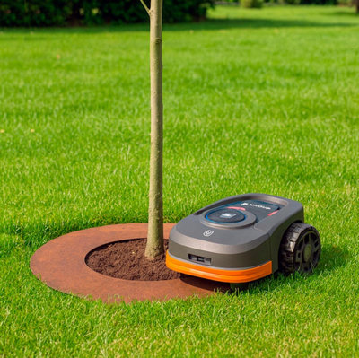 Rusty Metal tree protection ring 70cm diameter for raised beds & borders