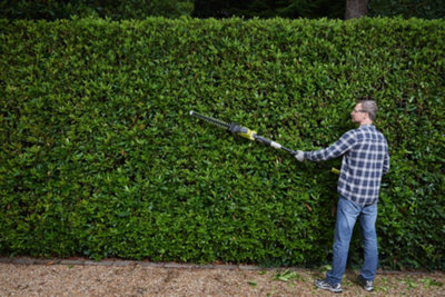 Ryobi extendable hedge trimmer hot sale