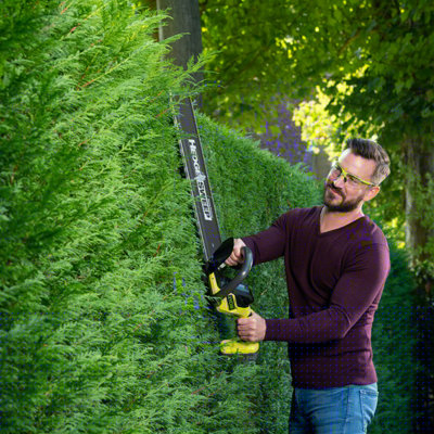 Ryobi hedge deals trimmer kit