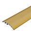 S16 Aluminium Door Bar floor Trim Threshold Cover Strip T bar Adjustable - Gold