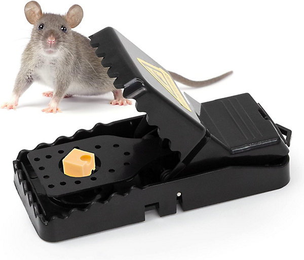 SA Products 6 Pack Reusable Mouse Trap - Snap Sensitive SA Products 6 Pack Reusable Mouse Trap - Snap Sensitive
