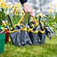 SA Products Garden Tool Set - Gardening Tools with Pruning Shears, Hand Trowel, Fork Rake, Transplanter, Weeder, Gloves, Tote Bag