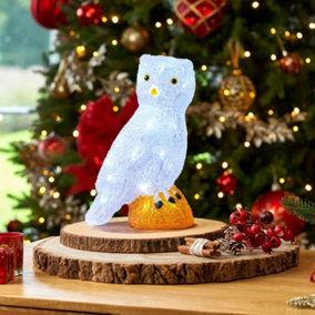 SA Products LED Acrylic Christmas Ornaments - Owl Decoration Lights for Indoor & Outdoor Use - 27.5x19.5cm