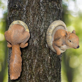 SA Products Squirrel Tree Peeker - Nature-Themed Ornaments for Yard and Garden