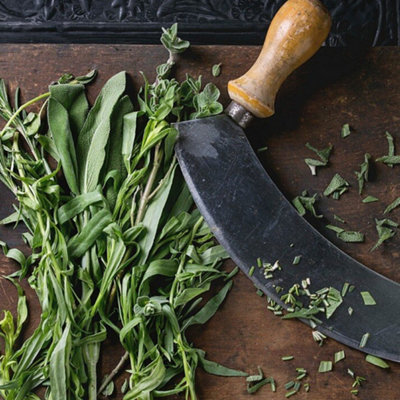 Compact Herb Chopper - Green