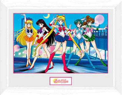 Sailor Moon Group 30 x 40cm Framed Collector Print
