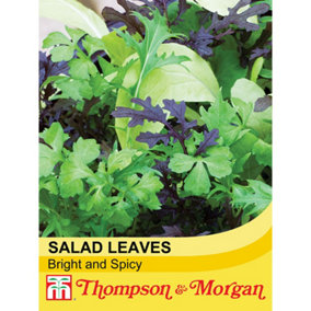 Salad Leaves Bright And Spicy 1 Seed Packet (750 Seeds)