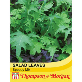 Salad Leaves Speedy Mix 1 Seed Packet