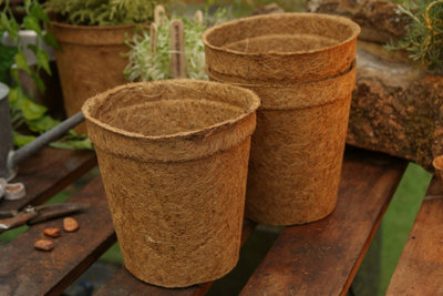Salike 28cm Coir Pot for Indoor and Outdoor Use