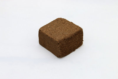 Salike 300g Coir Potting Mix (Coco Peat) DIY at B&Q