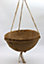 Salike 35cm Coir Hanging Baskets - Pack of 2