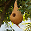 Salike Medium Bird Nest Single
