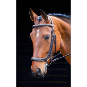 Salisbury Berkeley Leather Horse Bridle Black (X Full)