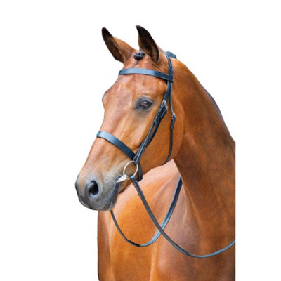 Salisbury Berrington Leather Horse Bridle Black (Cob) Price Comparisons | Compare The Build