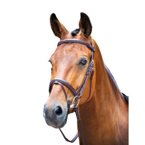 Salisbury Bodenham Leather Horse Bridle Australian Nut (Small Pony)