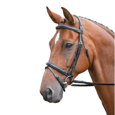Salisbury Bodenham Leather Stitch Horse Bridle Black (Full) Price Comparisons | Compare The Build
