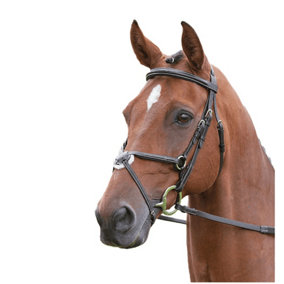 Salisbury Brackley Leather Horse Bridle Black (Pony)