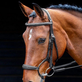 Salisbury Brampton Horse Bridle Black (X Full)