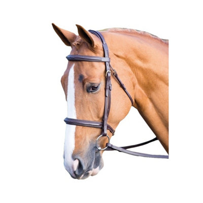 Salisbury Fairford Leather Horse Bridle Australian Nut (Cob) Price Comparisons | Compare The Build