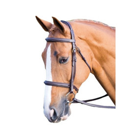 Salisbury Fairford Leather Horse Bridle Australian Nut (Pony)