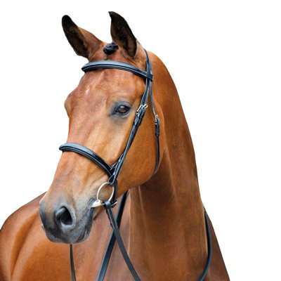 Salisbury Fairford Leather Stitch Horse Bridle Black (Pony) Price Comparisons | Compare The Build