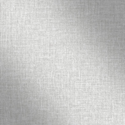 Sample of Raze Metallic Wallpaper In Silver