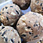 Samuel Alexander Garden Wild Bird Fat Balls - 10 pack - Multi Seed & Nut - 100% Extra Free
