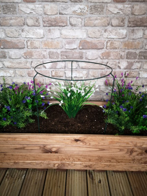 Samuel Alexander Urban Metal Herbaceous Garden Plant Support Ring Large 40cm x 60cm