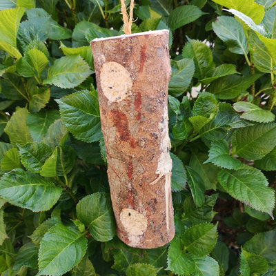 Samuel Alexander Wild Garden Bird Rustic Suet and Seed Filled Hanging ...