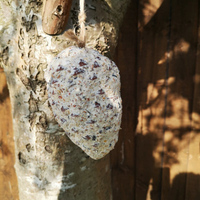 Samuel Alexander Wild Garden Bird Suet Pinecone Containing Suet and Seeds with Hanging String