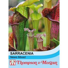 Sarracenia (Pitcher Plant) New hybrids Mixed 1 Seed Packet (15 Seeds)