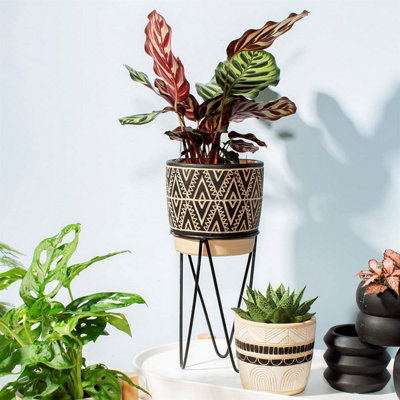 Sass & Belle Nomad Planter with Wire Stand