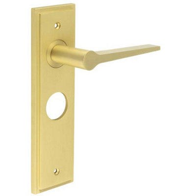 Satin Brass Bathroom Door Handle with Backplate for Modern Homes - Solid Brass Interior Handle