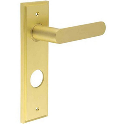 Satin Brass Door Handle with Backplate for Bathrooms - Solid Brass Interior Handle