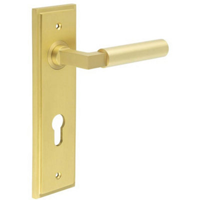 Satin Brass Door Handle with Euro Backplate for Stylish Interiors - Solid Brass Interior Lever